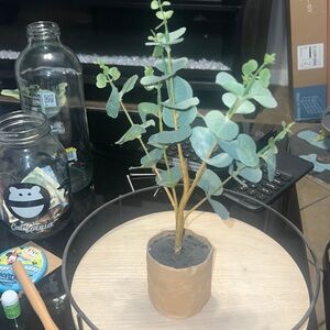 Brand new mini tree for decoration aesthetic